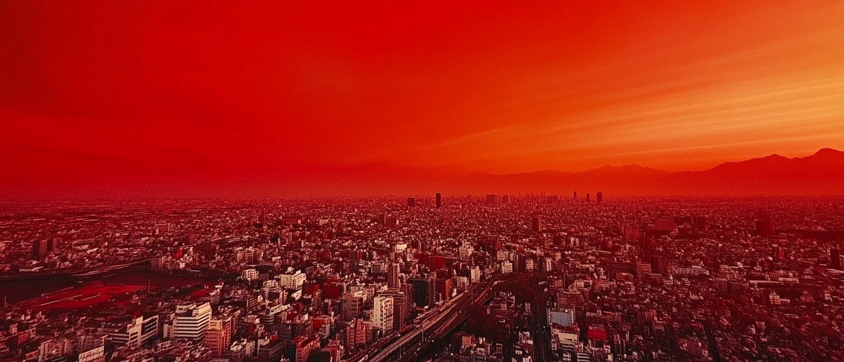 Chinese Cases #390　埼玉県で中国籍起訴
